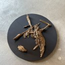 우강평야1로 이미지