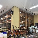 한성빌딩 | 7세 바이올린 구입｜가격·사이즈 체크리스트 &amp; 대구 한성악기 방문 후기