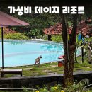 데이지 | 베트남 푸꾸옥 중부 가성비 숙소 데이지 리조트 후기