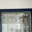 애틋하개 이미지