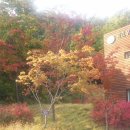 태안장터 이미지