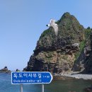 울릉도 Daum카페