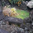 양금석가옥 이미지