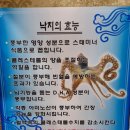 만선해변 | 인천 학익동맛집 만선해변 맛있는 낚지볶음 후기