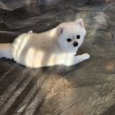 베아티투도무인카페