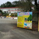 생각나무자연학교 이미지