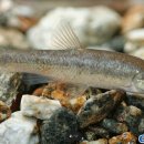 농부의 아들 이미지