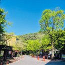 루나무인텔 이미지