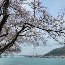 왕지로타리 이미지