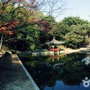 관광특구로 이미지