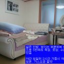 동인천역 5분 아파트 전세 8000 (전세자금대출가능) 이미지