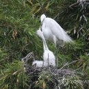 중대 화장실 이미지