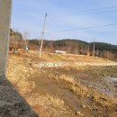 일광대복집 이미지