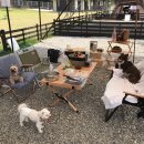 캠플레이 캠핑장 이미지