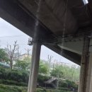 열무약국 이미지