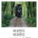 투투여행사 | 용머리해안맛집 만복흑돼지 전복과 흑돼지, 용머리해안 입장료