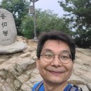 개미행정사 이미지