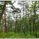 고개마루주유소 이미지