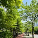 PC토랑 2호점 이미지