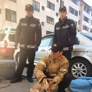 가흥동영주소방서 이미지