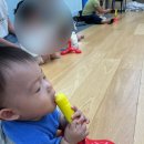 D+288)홈플러스 문화센터플레이오감 도담베베/현대백화점 문화센터 점핑베이비 가을학기 시작