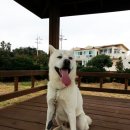 태흥3리 이미지