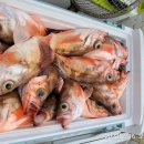 선단체육문화센터 이미지