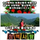 새재IC주유소 Daum카페