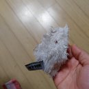 파워마켓 이미지