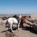 남산목장 이미지