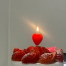 핑크벌스데이 | 김포구래케이크전문 핑크벌스데이 생크림딸기케이크 예약 후기｜무인픽업까지 완벽