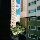 바름태권도장 이미지