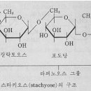 Re:3조 “탄수화물 기능성식품” 발표에 대한 질문 1~10 이미지