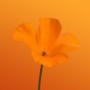 청소의정석