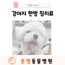 온정동물병원 이미지