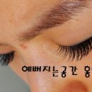 홍언니네파우더룸
