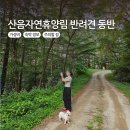 산음펜션 | 국립산음자연휴양림 반려견 예약, 바베큐 가격, 위치, 주의할 점까지 총정리!