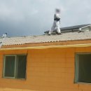 경화축사 이미지