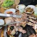 해성버섯