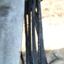 삼밭골주유소 이미지