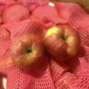 하늘재 | 🍎✨ 지리산 하늘재농장 홍로사과 언박싱 &amp; 시식 후기 ✨🍎