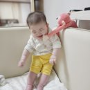 복덩이 한우2 이미지