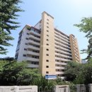 세븐일레븐 부산사직동점 이미지