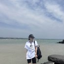 올레 김밥 이미지