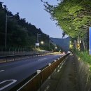 덕포우회길 티스토리