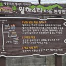 충신 민후건 정려 | 세종시 연서면 월하 4리 토지 달을 닮은 마을