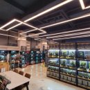 동탄대로21가길 이미지