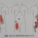 짐투짐 여성전용 PT 이미지