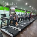 월드피아 헬스 네이버블로그