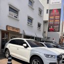 내 품 안의 반려견 마포점 | 마포 경의선숲길 맛집 카밀드, 브런치와 화덕피자를 한 번에?